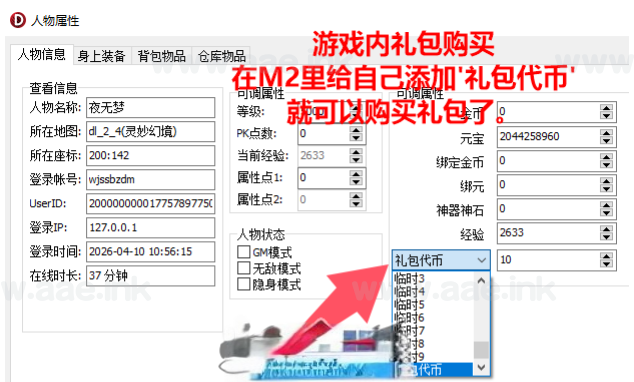 图片[11]_《996牛马沉默之铁棒传奇9大陆修复版》经典传奇类端游一键端+九大陆+遍地光柱+自动挂机+配套客户端+图文教程_Aae_Source